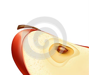 Vector realistic red apple fruit slice 3d closeup