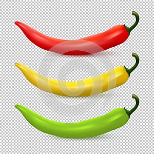 Vector realistic red, yellow and green hot natural chili pepper icon