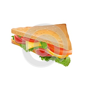 Vector Realistic Sandwitch Illustration . Isolated On White Background