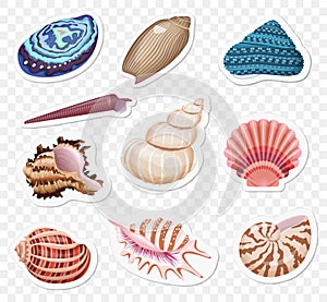 Vector realistic sea shells stickers sset on the transperant alpha background.