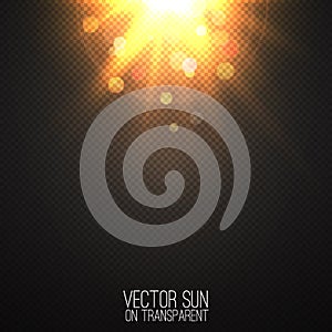 Vector realistic sun on transparent .