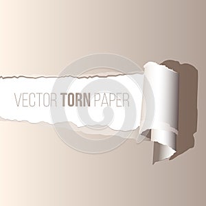 Vector realistic torn paper with shadow.
