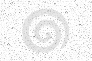 Vector realistic water drops condensed photo