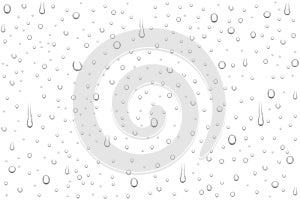 Vector realistic water drops on white background.