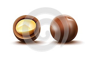 Macadamia nuts with shell