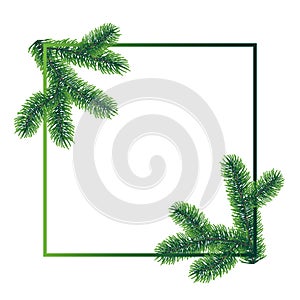 Vector rectangle frame dacorated with winter christmas coniferous tree branches with needle leaves on white background