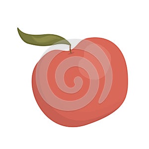 Vector red apple with a twig and a leaf on a white background is isolated