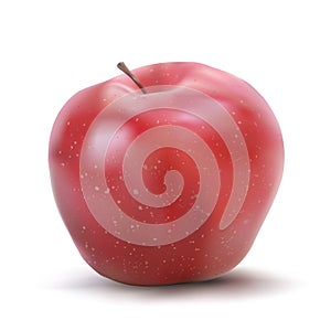 Vector red apple on white background