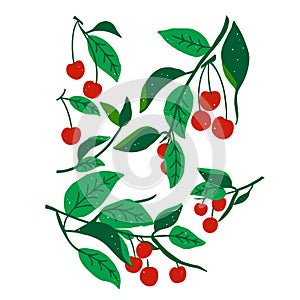 Vector red cherry tree leaf illustration graphic resource