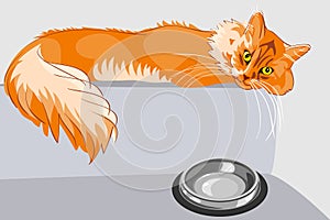 Vector Red fluffy tabby cat with yellow eyes