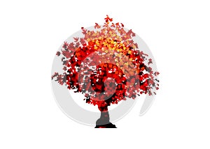 Vector red maple tree icon isolated on white background. Acer Palmatum, Deshojo, Japanese maple plant bonsai Scarlet  tree