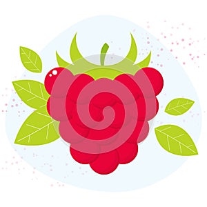 Vector raspberry icon. Flat cartoon berry illustration
