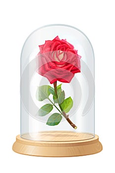 Vector red rose, glass flask