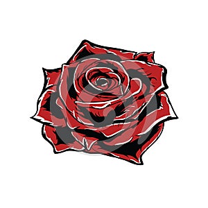 Vector red rose isolated on white