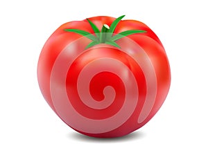 Vector red tomato 3d realistic