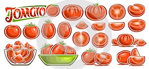 Vector Red Tomato Set