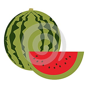 Vector red watermelon with green skin
