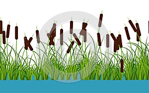 Vector reed stems plants with leaves and grass on the river Seamless pattern on white background