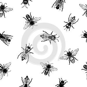 Vector retro hand drawn seamless pattern with crawling bees. Vintage style. Inteligent illustration