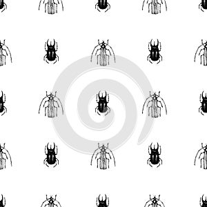 Vector retro hand drawn seamless vector pattern with beetle, bug, dor, dorr, insect on a white background. Vintage