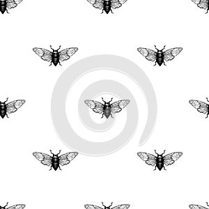 Vector retro hand drawn seamless vector pattern with beetle, bug, dor, dorr, insect on a white background. Vintage