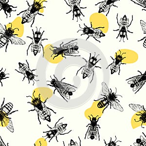 Vector retro hand drawn seamless vector pattern with crawling bees. Vintage style. Inteligent illustration