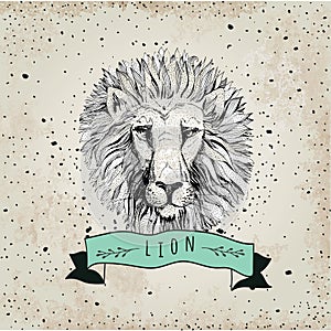 Vector retro lion head design illustration