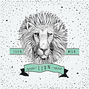 Vector retro lion head design illustration