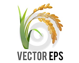 Vector rice plant icon, represent wheat, corn, oats, sorghum, crops, field,  harvests and farming