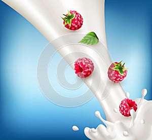 Vector ripe, red raspberry falling into the milk. Milk splash wi
