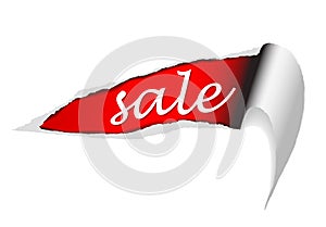 Vector ripped paper - sale