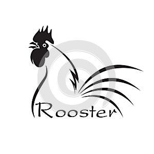 Vector of an rooster disign on white background. Animals.