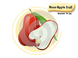 Vector Rose apple fruit isolated on color background, illustrator 10 eps