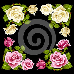 Vector rose corner isolated on black background