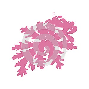 Vector rose geranium flower flat vector on white background