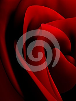 Vector rose illustration