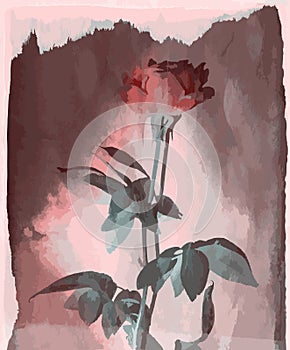 Vector rose vintage on burned wood