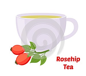 Vector rosehip, briar tea, rose haw cup. Cartoon flat style