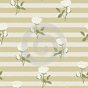 Vector Roses Flowers in White with Green Leaves on Beige Stripes Seamless Repeat Pattern. Background for textiles, cards