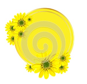 Vector round background for an inscription. Yellow pattern with flowers. Design for advertising or promotions, sales. Spring