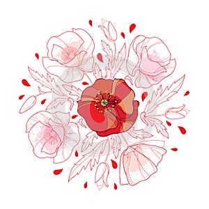 Vector round bouquet with outline red Poppy flower bunch, bud and leaves in pastel isolated on white background.
