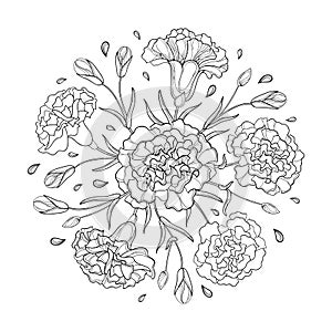 Vector round composition with outline Carnation or Clove. Flower bunch, bud and leaves in black isolated on white background.
