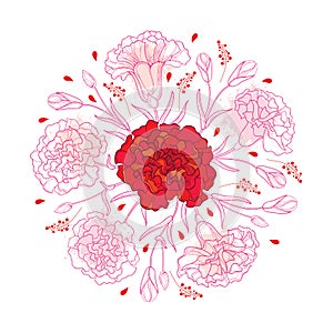 Vector round composition with outline Carnation or Clove. Flower bunch, bud and leaves in red and pastel pink isolated on white.