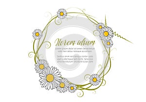 Vector round daisy frame template