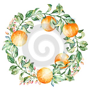 Vector round frame of watercolor orange and flowers. Watercolor illustration wreath of mandarin and leaves