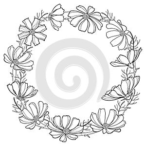 Vector round wreath or garland with outline Cosmos or Cosmea flower bunch and ornate leaf in black isolated on white background. photo