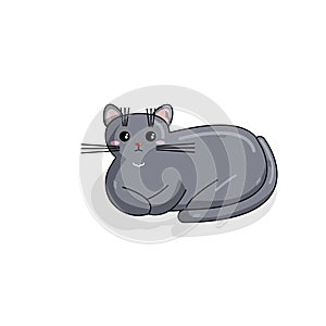 Vector Russian Blue Cat in Kawaii Style