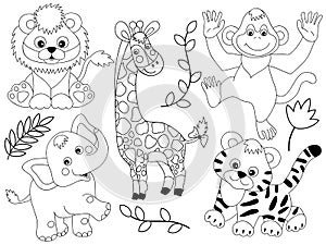 Vector Safari Animals