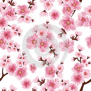 Vector sakura flower seamless pattern element. Elegant cherry blossom texture for backgrounds. photo