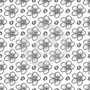 Vector sakura seamless pattern of flowers